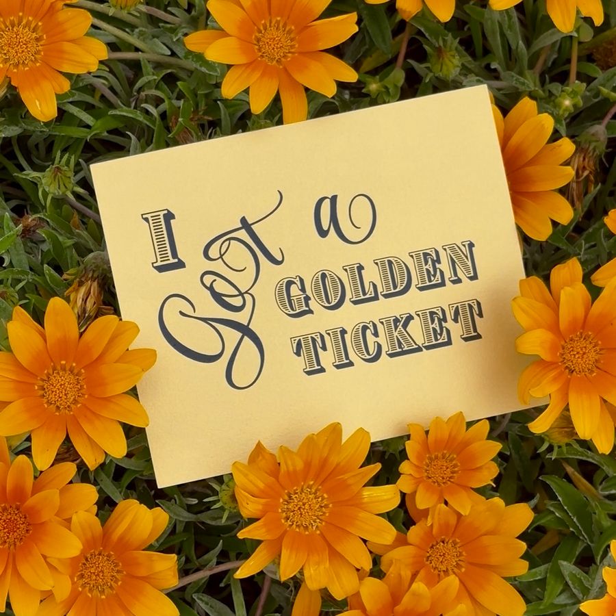 Golden Ticket Giveaway: Chocolate Bar Carlsbad Prepares for Grand Opening