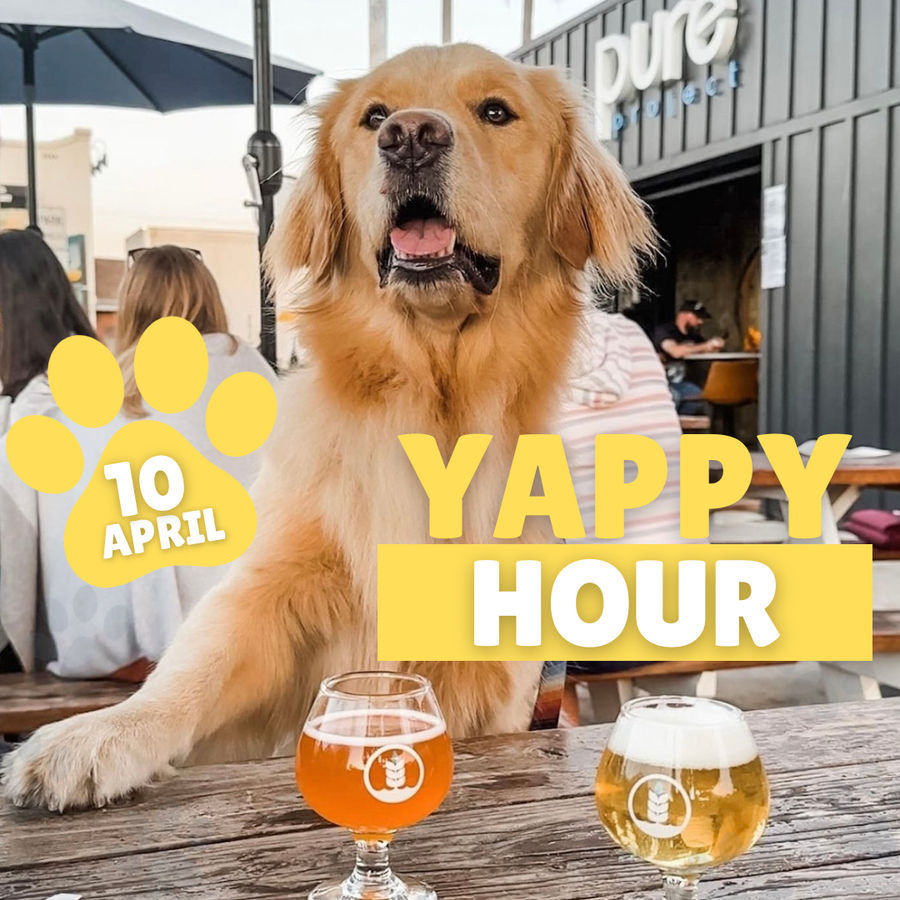 Yappy Hour is Back: Celebrate Spring with Your Pup at Pure Project!