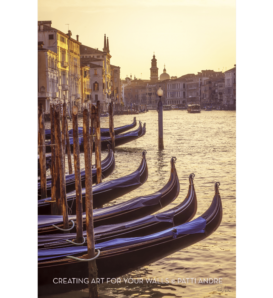 Patti Andre Photography