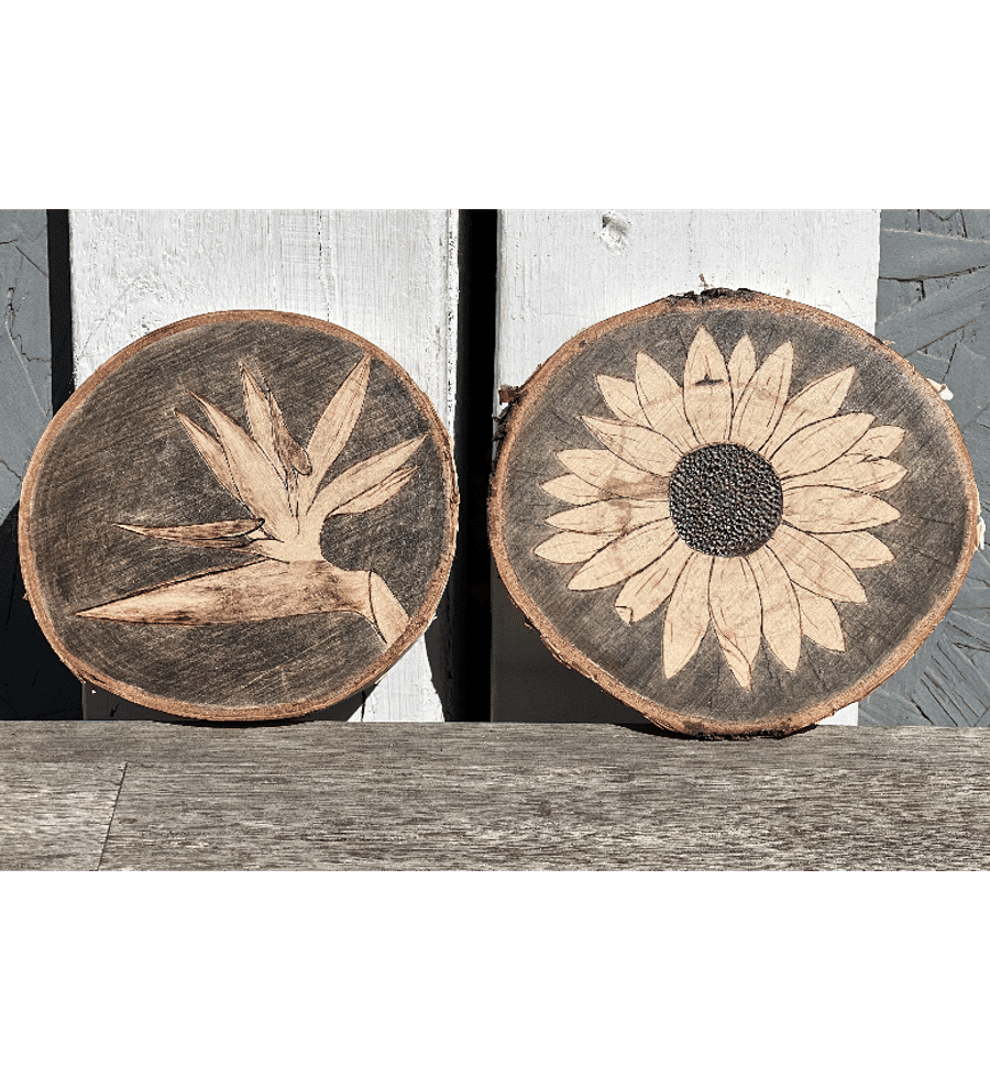 Skyebird Craft