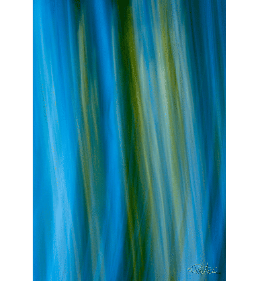 Patti Andre Photography