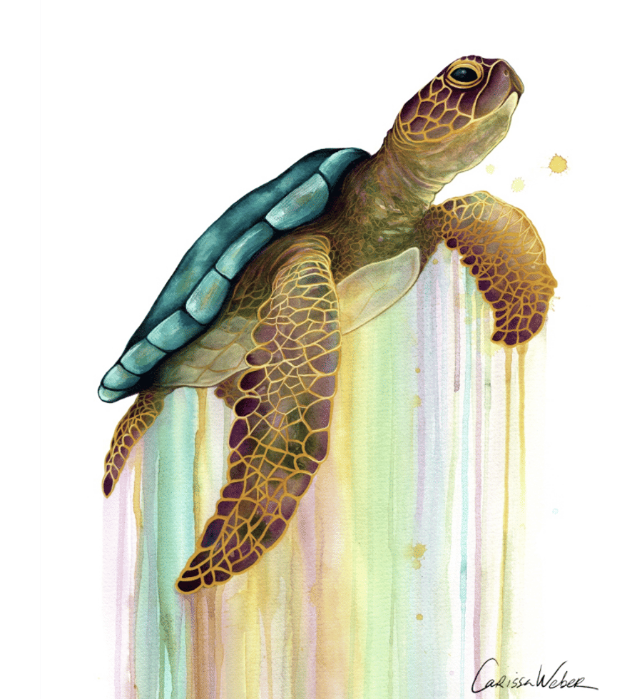 Carissa Weber Art