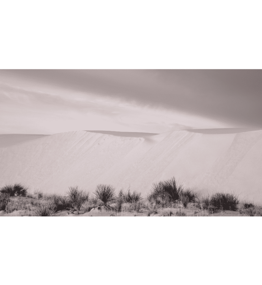 Terre Fine Art Photography