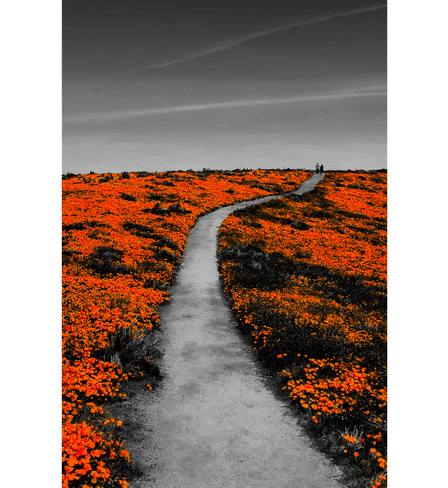 Achromatic Planet Photography